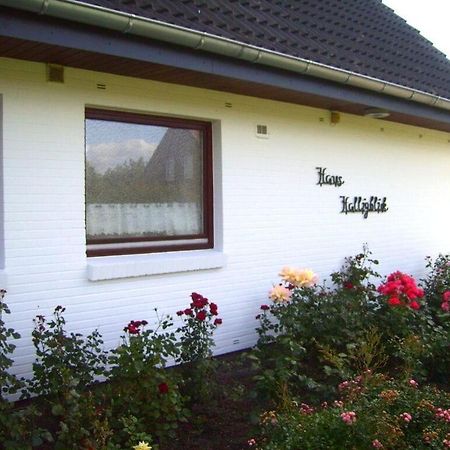 Hooge In The Haus Halligblick Dagebüll Zewnętrze zdjęcie
